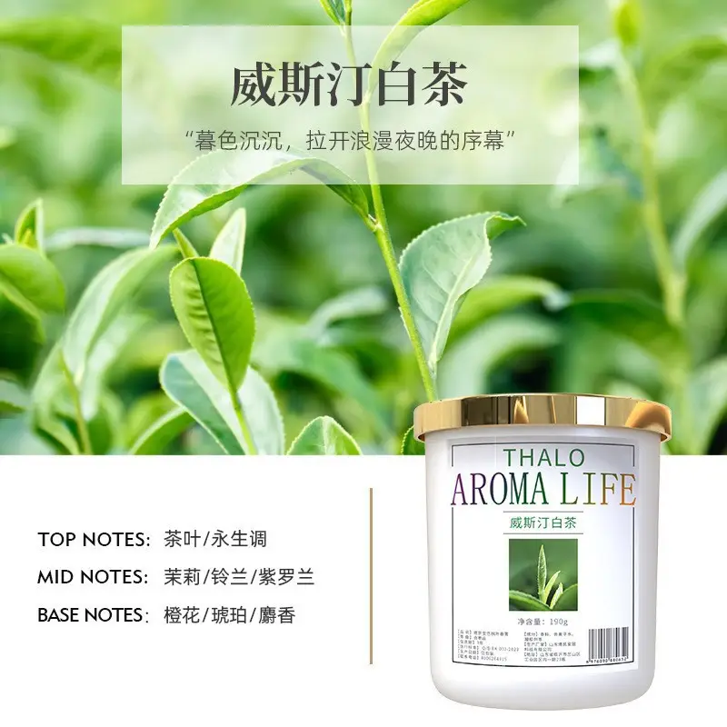 Car Air Freshener 2026 New Model Home Fragrance High-End Aroma Ornament Car Air Freshener Odor Removal Car Perfume
