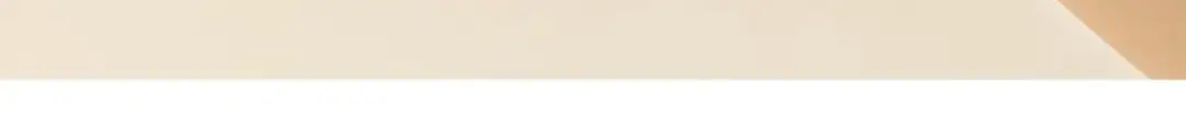 Women's Cotton Slippers for Autumn and Winter, New Indoor and Outdoor Warm Shoes with Heel, Maternity Shoes, Wholesale — feature 11