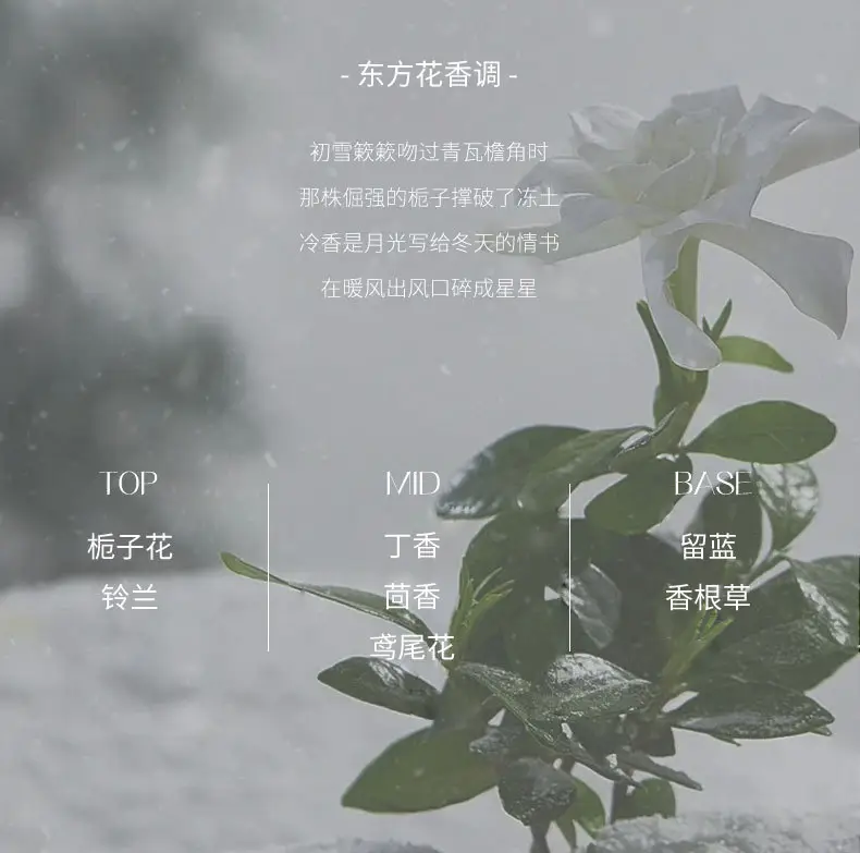 Car Aromatherapy New Long-Lasting Fragrance High-End Car-Specific Perfume for Purifying Air and Removing Odor Fragrance in the Car — feature 23