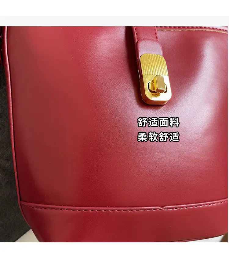 Women's Brown Leather Bucket Bag with Gold Plated Clasp — feature 7