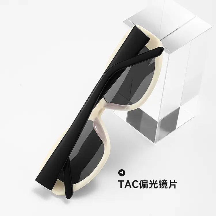2025 Snowboard Sunglasses Women High-End Polarized Black