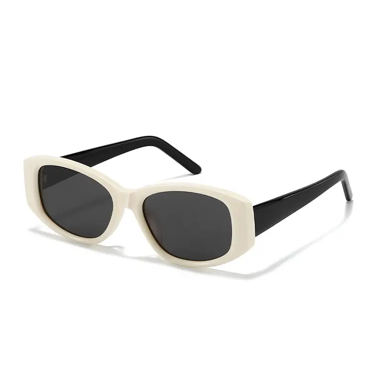 2025 Snowboard Sunglasses Women High-End Polarized Black
