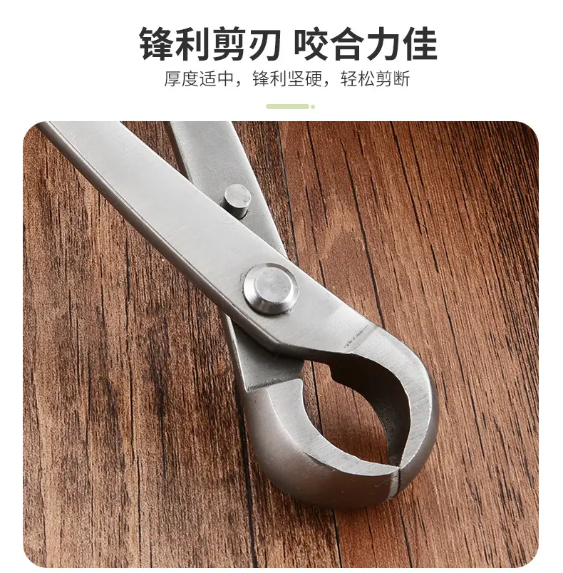 Bonsai Special Shaping Tool Set, Ball Joint Scissors, Diagonal Leaf Bud Scissors, Gardening Three-Piece Set, Tree Stump and Tree Knot Repair — feature 8