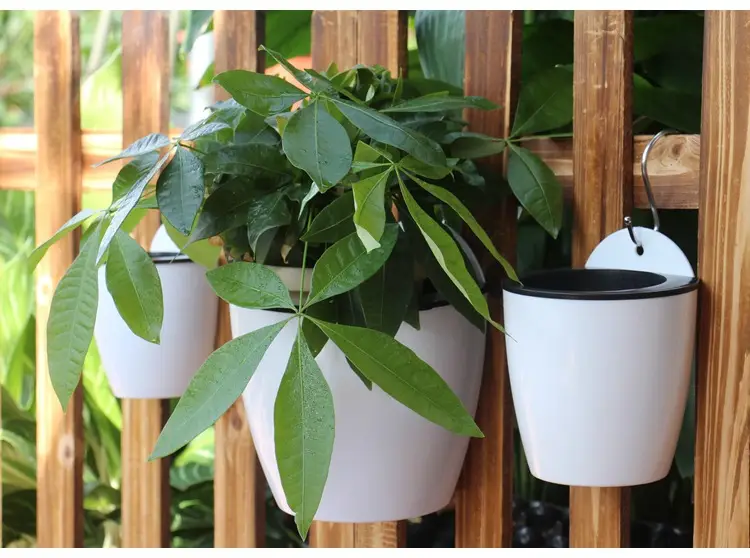 Lazy Plastic Flower Pot Resin Wall-Mounted Pot Self-Watering No-Watering Indoor Balcony Pothos Water Storage Planting Pot Thickened — feature 8