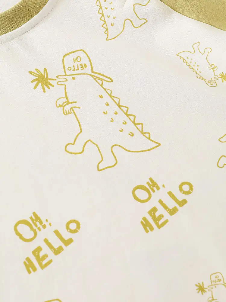 Jingqi Boys Long Sleeve T-Shirt Cotton 2025 Spring Autumn - Image 5