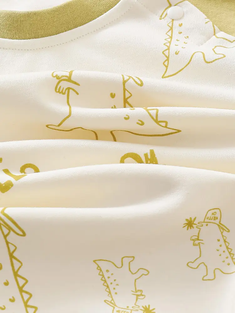 Jingqi Boys Long Sleeve T-Shirt Cotton 2025 Spring Autumn - Image 7