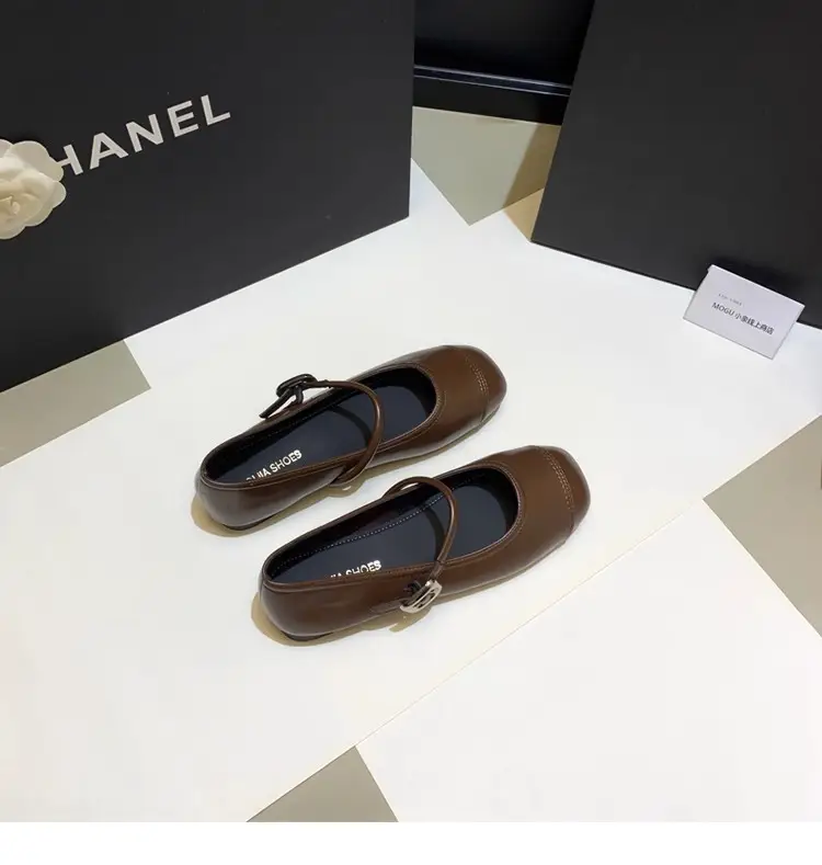 French Style Mary Jane Shoes with Skirts, Women's Shoes 2025 Spring & Fall New Korean Style Flats Bean Shoes Silver Small Leather Shoes — feature 12