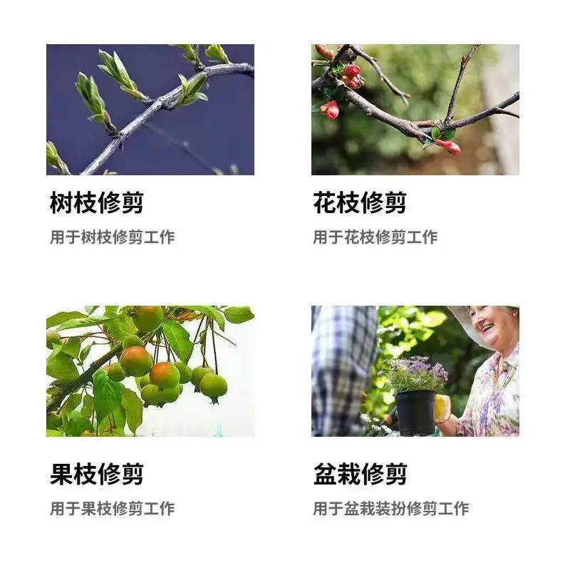 Stainless Steel Elbow-Shaped Branch Scissors, Garden Pruning Shears, Outdoor Gardening Fruit Picking, Labor-Saving Fruit Tree Pruning