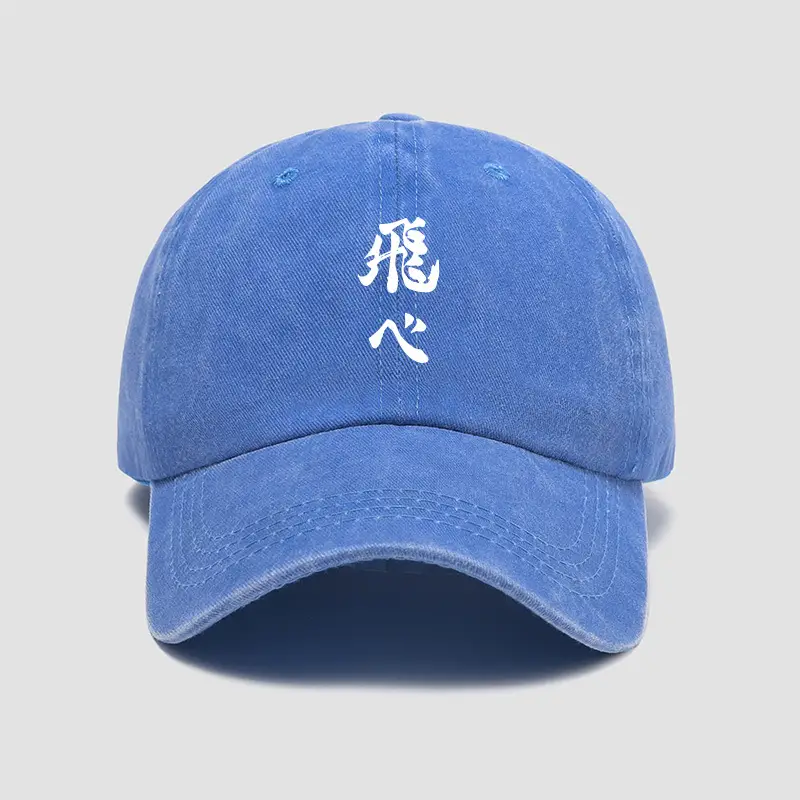 Vintage Blue Karasuno Fly Cap for Boys