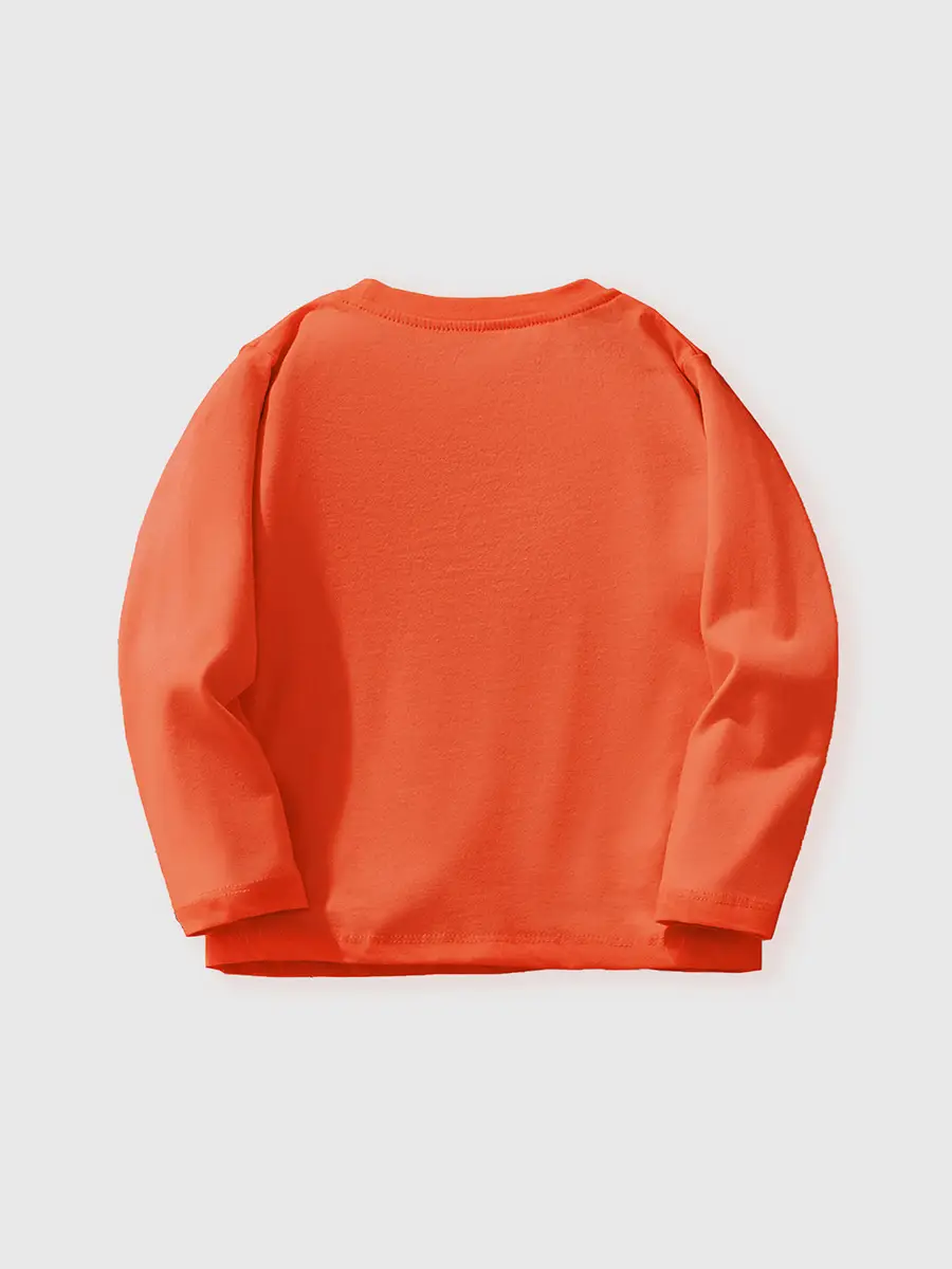 Dinosaur Print Boys Sweatshirt Orange Round Neck
