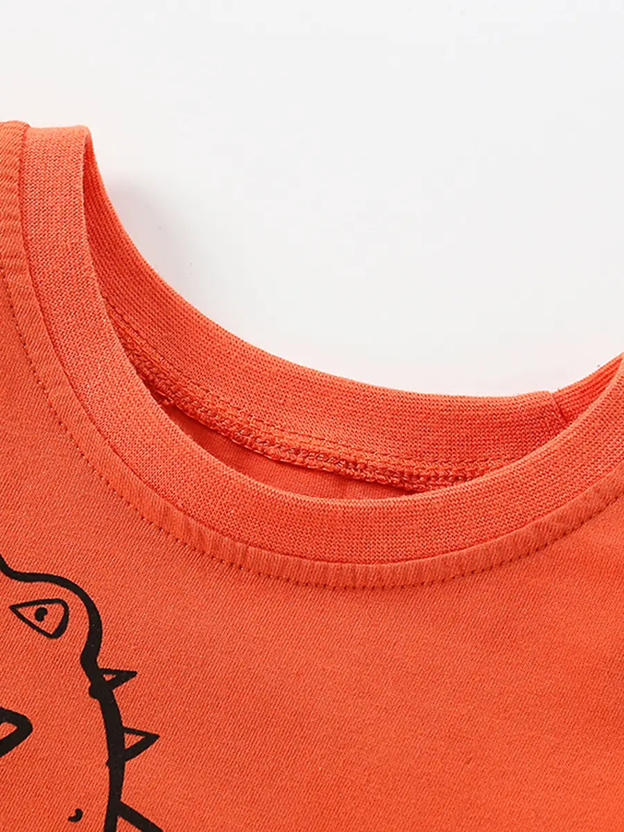 Dinosaur Print Boys Sweatshirt Orange Round Neck