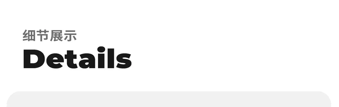 Zoo Series Large Size Women's Cotton Shoes Couple's Warm Plush Cute Comfortable Home Shoes Men's Winter Closed-Back Cotton Shoes — feature 2