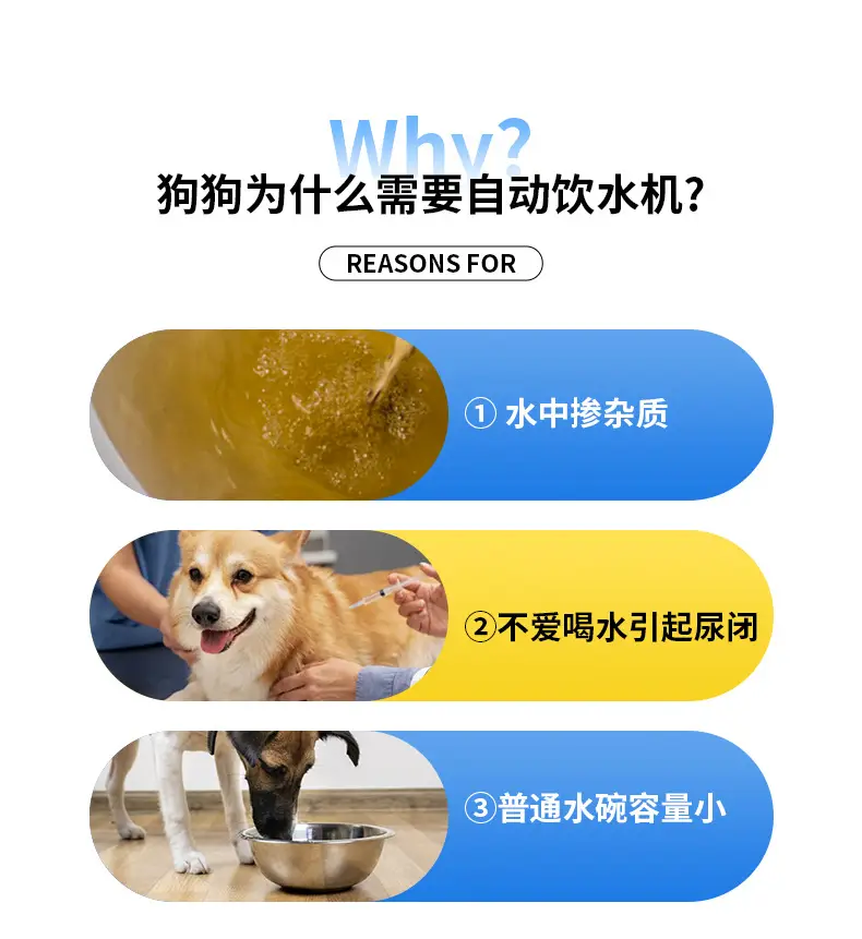 Wholesale New Pet Cat Water Dispenser Unplugged Automatic Water Filling Portable Dog Water Dispenser Large Capacity — feature 3