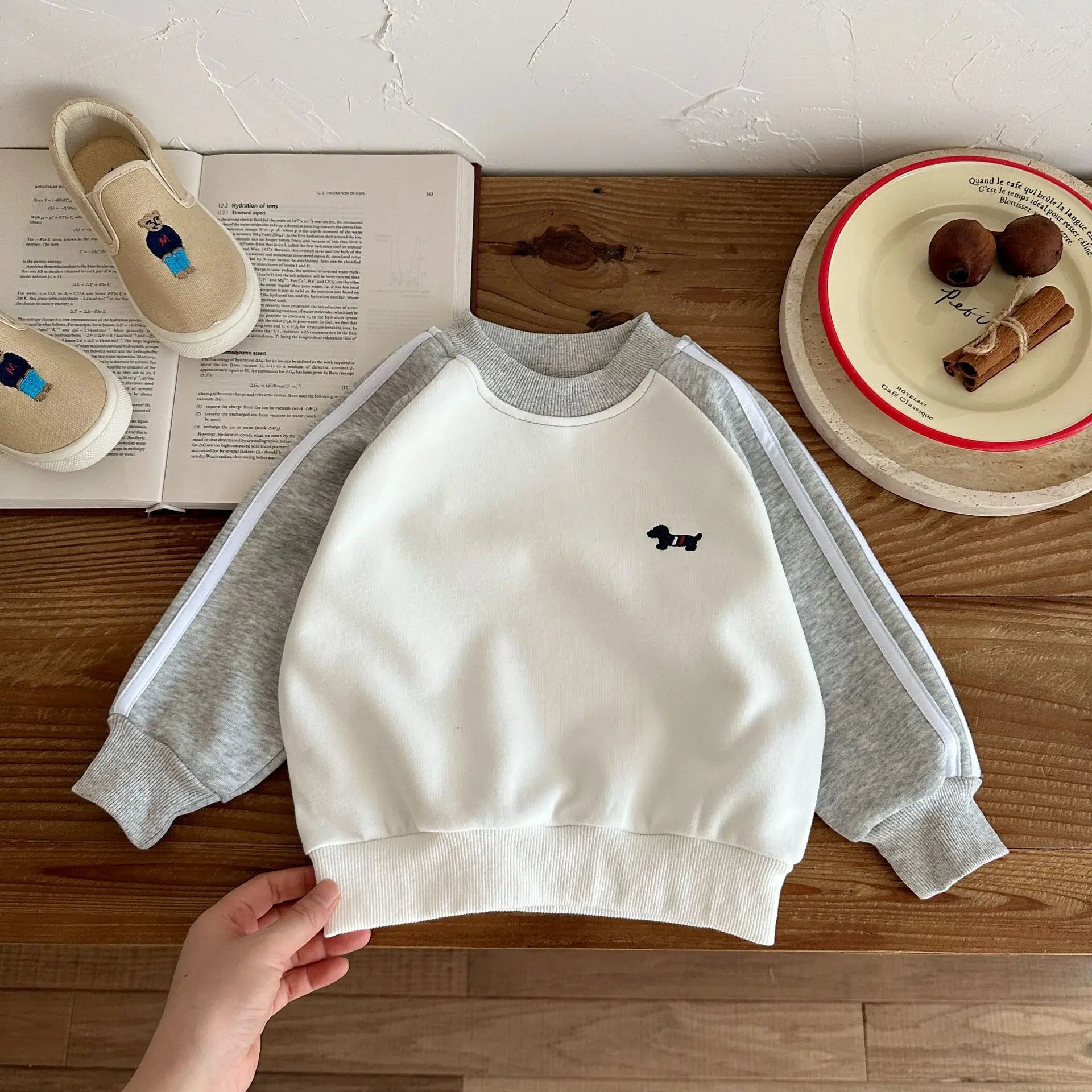 Boys Sweatshirt Spring Autumn Embroidered Long Sleeve T-Shirt — feature 8