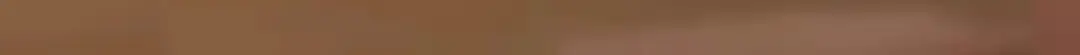 Ice Silk Boat Socks for Women, Autumn Thin Non-Slip Anti-Slip Low-Cut Invisible Socks with Pure Cotton Sole for High Heels and Flats — feature 14