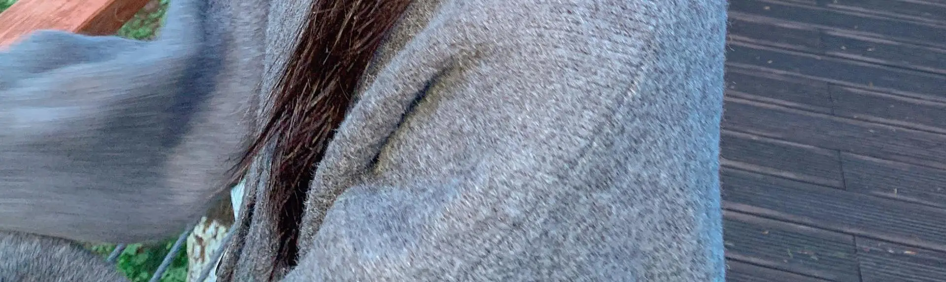 Women's Fleece Lined Winter Baseball Cap with Ponytail — feature 14
