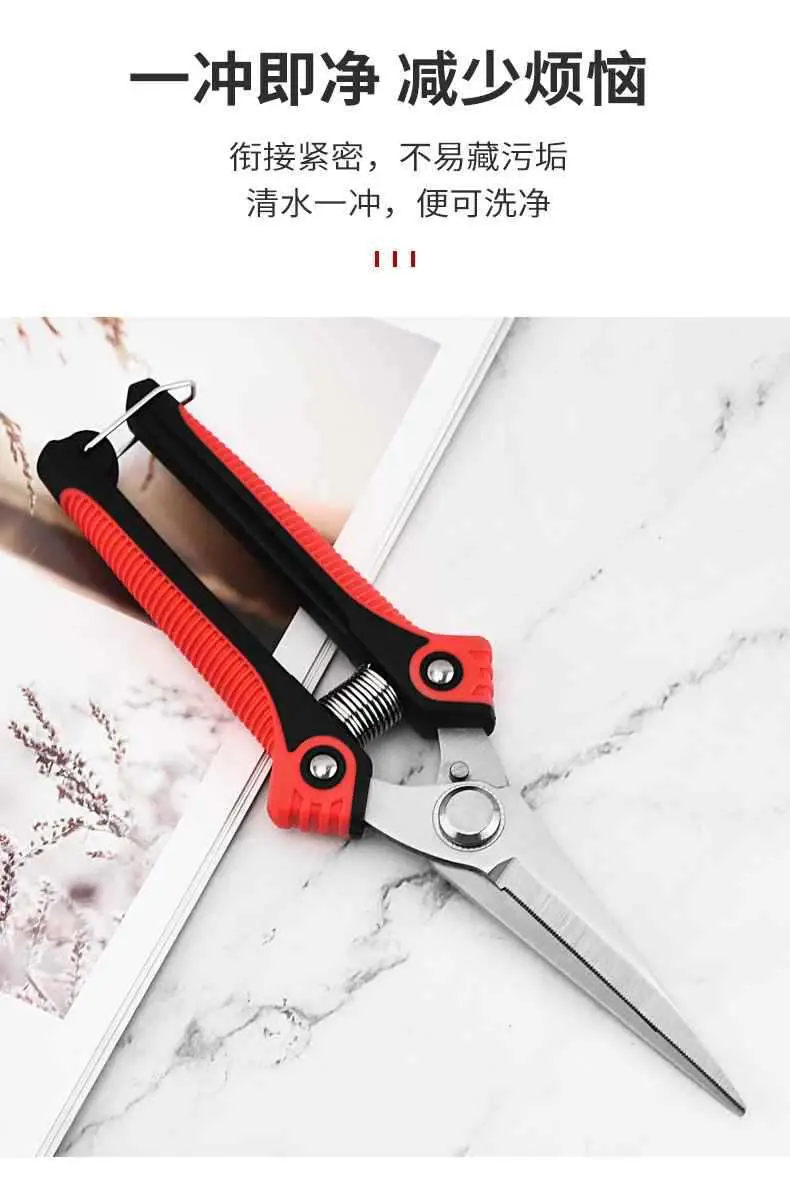 Japanese Imported Stainless Steel Gardening Scissors Pruning Shears for Cutting Branches Special Scissors Pruning Scissors Floral Scissors Free Shipping — feature 3