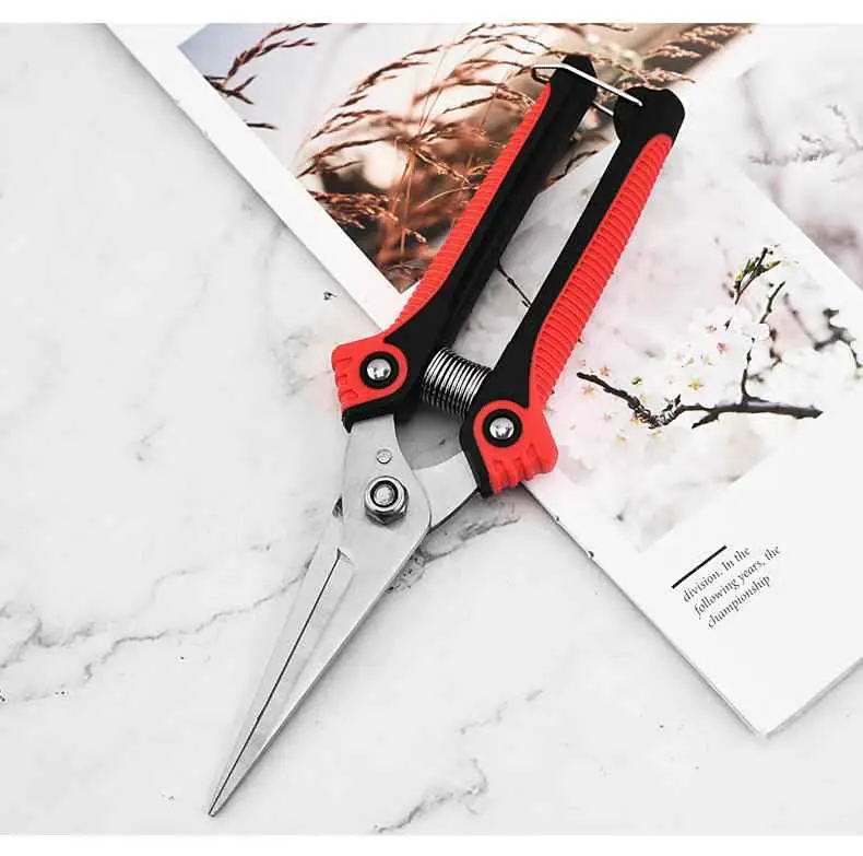 Japanese Imported Stainless Steel Gardening Scissors Pruning Shears for Cutting Branches Special Scissors Pruning Scissors Floral Scissors Free Shipping — feature 7