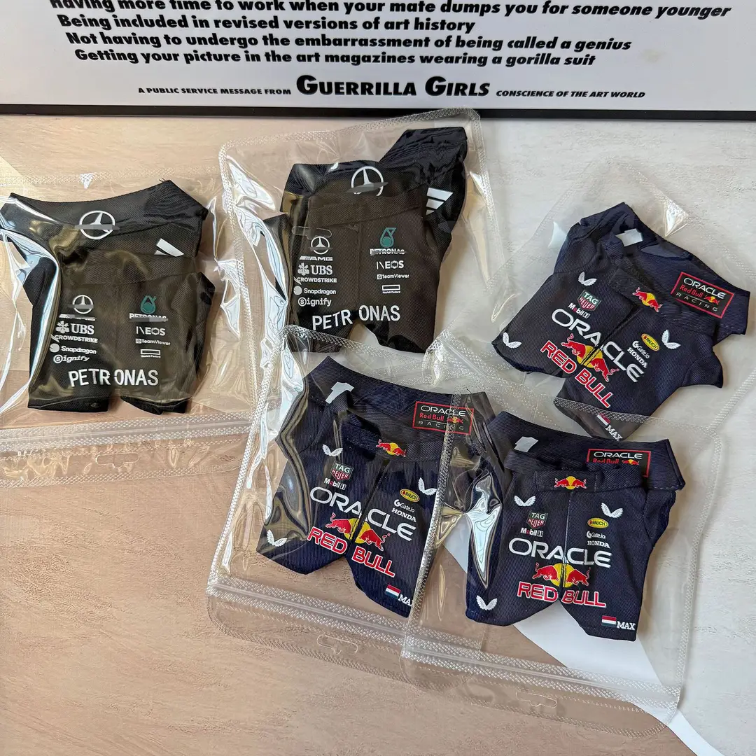 17cm Labubu Clothes Hamilton F1 Red Bull Racing Suit Labubu Baby Clothes Hat Mercedes-Benz Wholesale