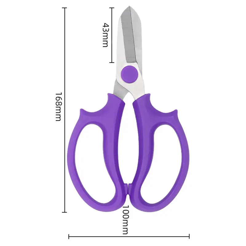 Stainless Steel Pruning Scissors, Floral Gardening Scissors, Flower Arranging Scissors, Garden Tools, Cross-Border Ready Stock Wholesale