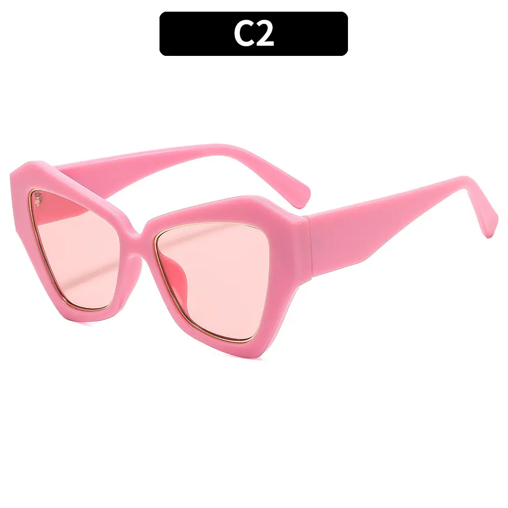 Pink Cat-Eye Sunglasses for Women - Image 2