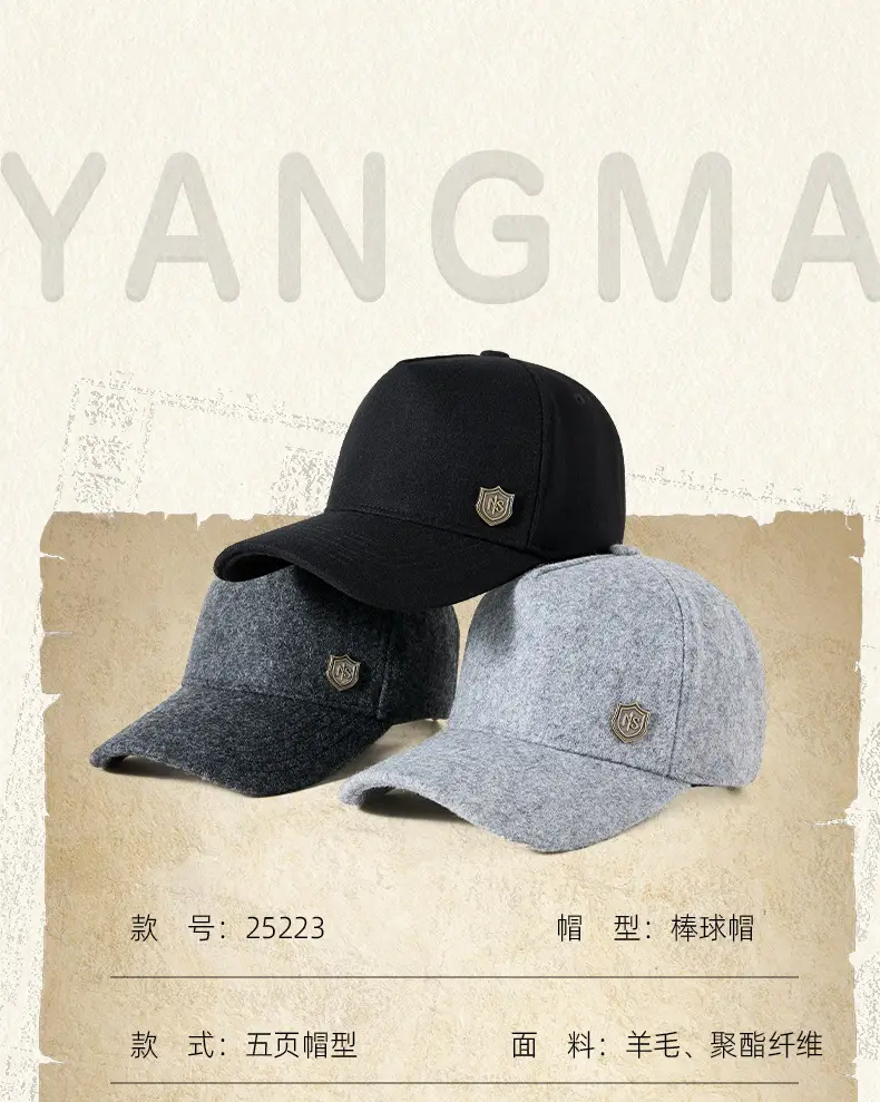 Warm Woolen Baseball Cap for Men Women Winter Sun Hat — feature 10