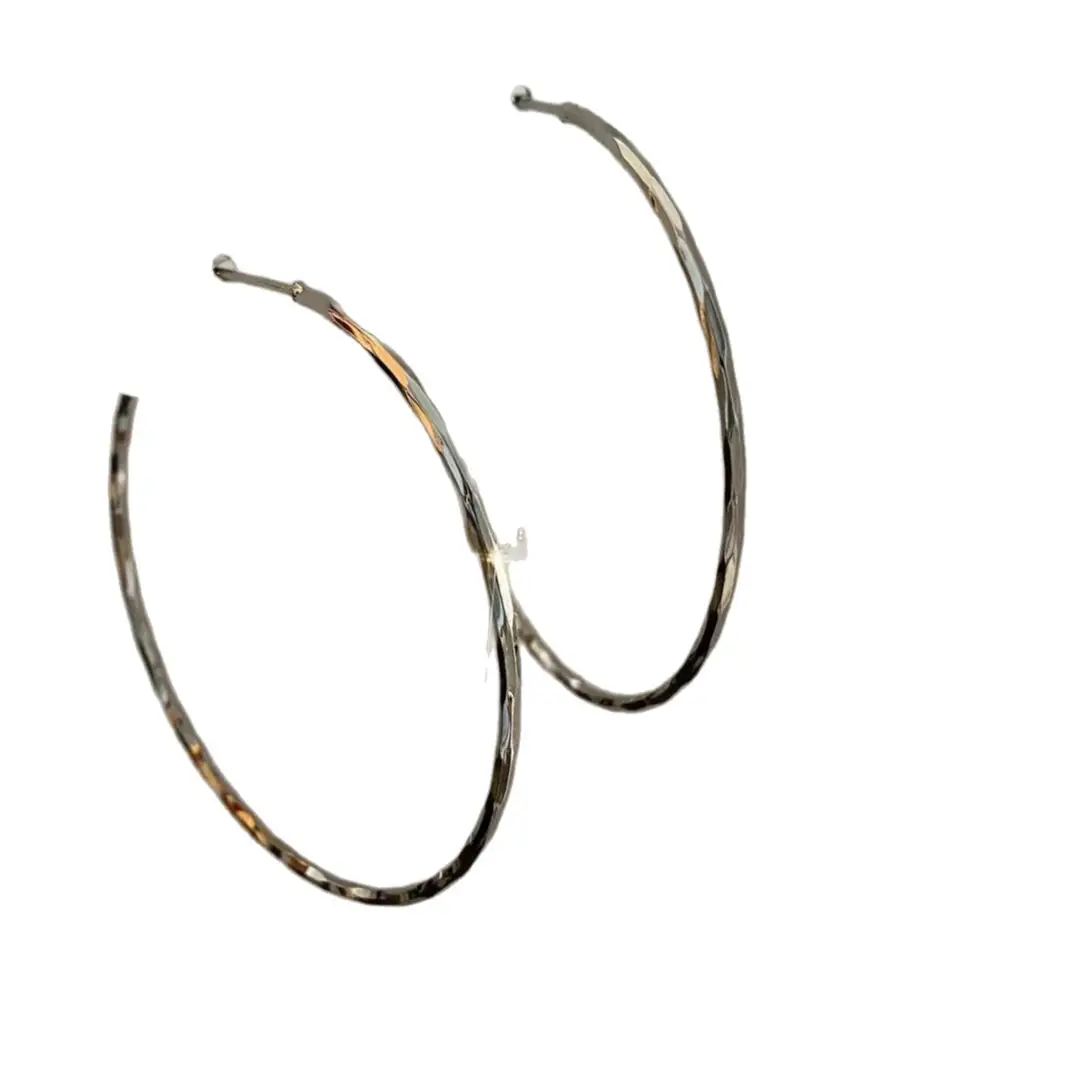 Minimalist Silver Needle Round Hoop Earrings Simple Fashion Commuter Personality Versatile Earrings Light Luxury High-End Earrings