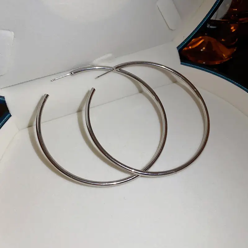 Minimalist Silver Needle Round Hoop Earrings Simple Fashion Commuter Personality Versatile Earrings Light Luxury High-End Earrings — feature 10