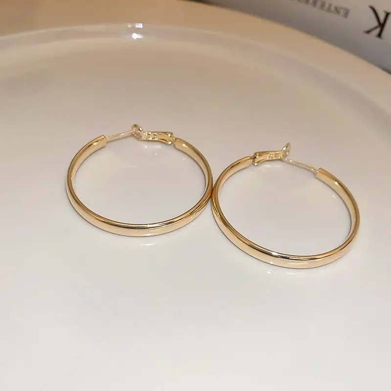 Minimalist Silver Needle Round Hoop Earrings Simple Fashion Commuter Personality Versatile Earrings Light Luxury High-End Earrings — feature 11