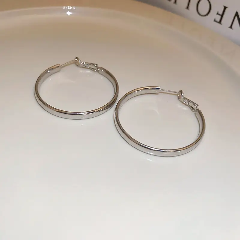 Minimalist Silver Needle Round Hoop Earrings Simple Fashion Commuter Personality Versatile Earrings Light Luxury High-End Earrings — feature 12