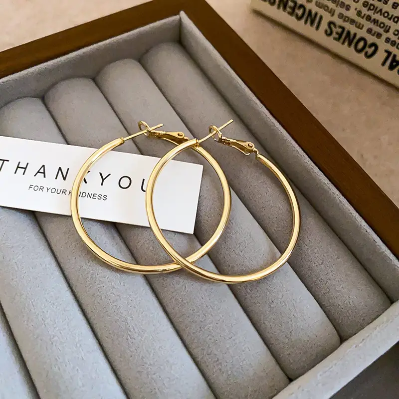 Minimalist Silver Needle Round Hoop Earrings Simple Fashion Commuter Personality Versatile Earrings Light Luxury High-End Earrings — feature 15