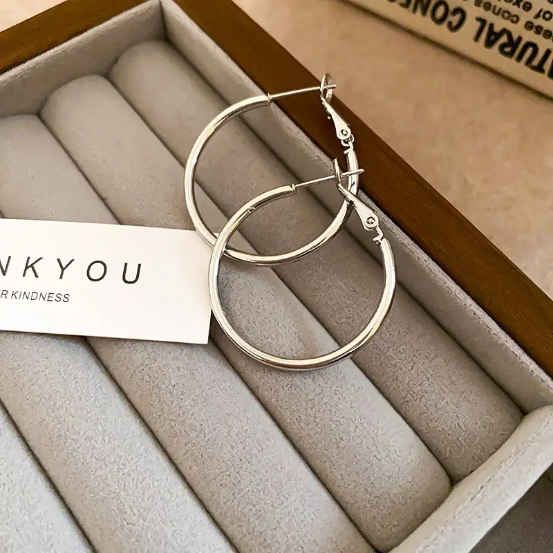Minimalist Silver Needle Round Hoop Earrings Simple Fashion Commuter Personality Versatile Earrings Light Luxury High-End Earrings — feature 16