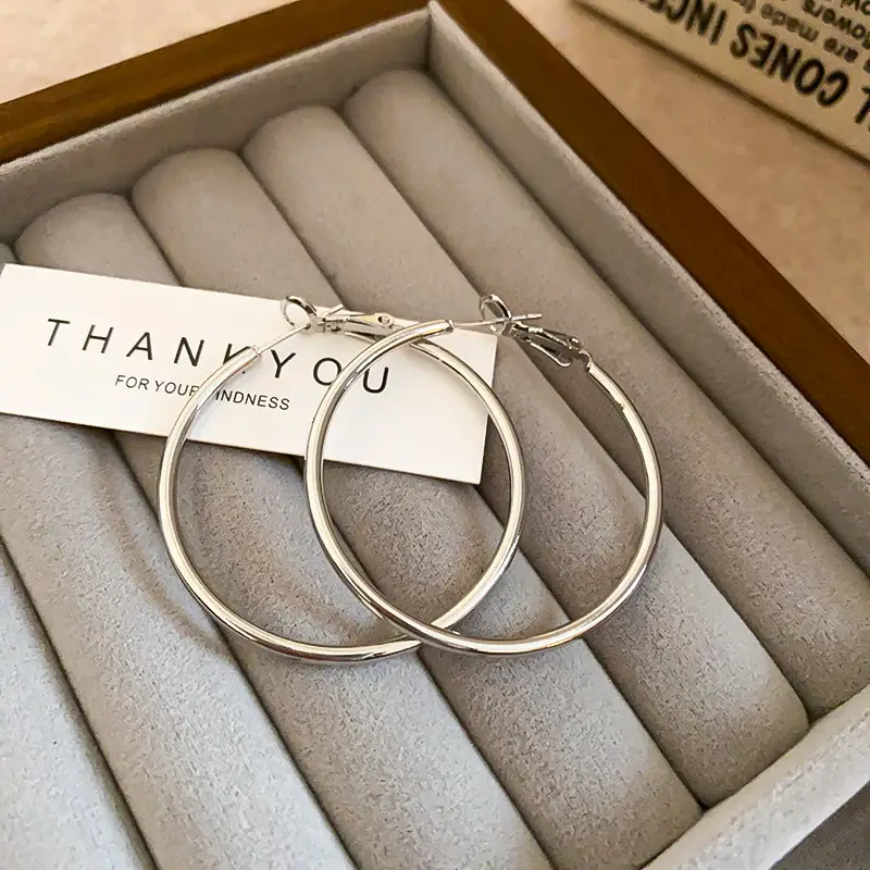 Minimalist Silver Needle Round Hoop Earrings Simple Fashion Commuter Personality Versatile Earrings Light Luxury High-End Earrings — feature 17