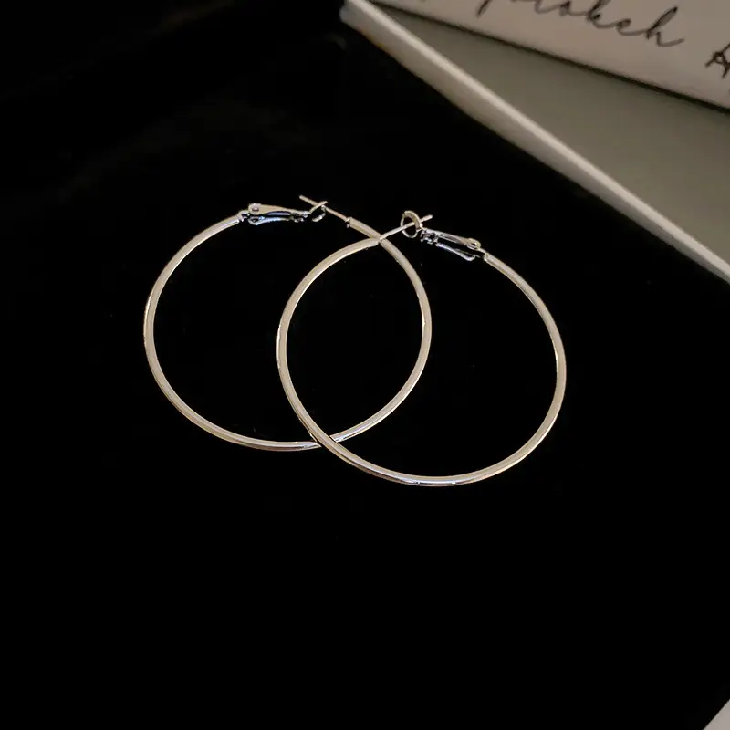Minimalist Silver Needle Round Hoop Earrings Simple Fashion Commuter Personality Versatile Earrings Light Luxury High-End Earrings — feature 22