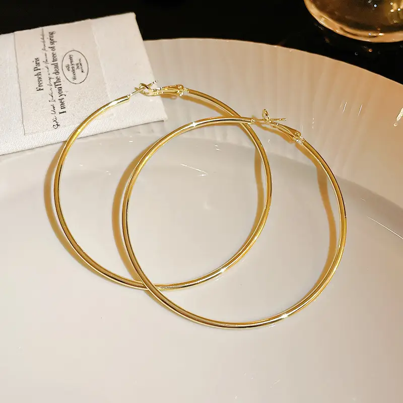 Minimalist Silver Needle Round Hoop Earrings Simple Fashion Commuter Personality Versatile Earrings Light Luxury High-End Earrings — feature 23