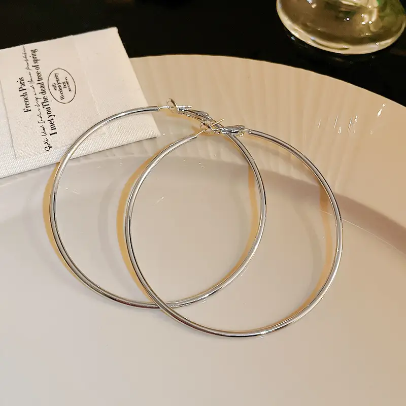 Minimalist Silver Needle Round Hoop Earrings Simple Fashion Commuter Personality Versatile Earrings Light Luxury High-End Earrings — feature 24