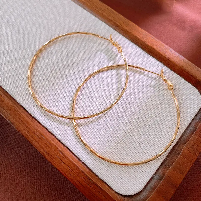 Minimalist Silver Needle Round Hoop Earrings Simple Fashion Commuter Personality Versatile Earrings Light Luxury High-End Earrings — feature 25
