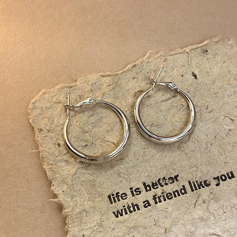 Minimalist Silver Needle Round Hoop Earrings Simple Fashion Commuter Personality Versatile Earrings Light Luxury High-End Earrings — feature 26