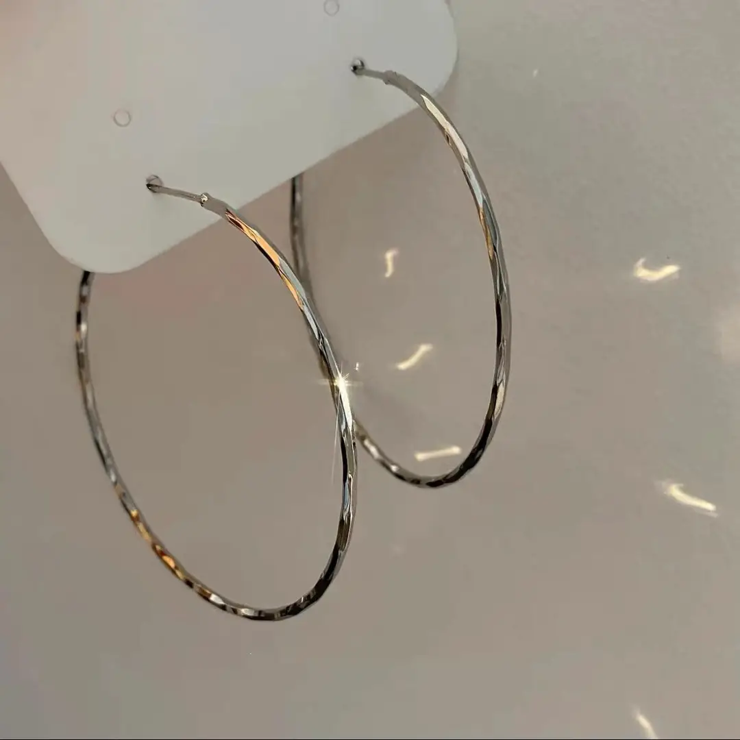 Minimalist Silver Needle Round Hoop Earrings Simple Fashion Commuter Personality Versatile Earrings Light Luxury High-End Earrings — feature 3