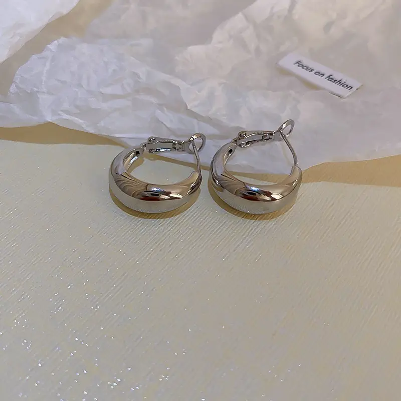 Minimalist Silver Needle Round Hoop Earrings Simple Fashion Commuter Personality Versatile Earrings Light Luxury High-End Earrings — feature 33