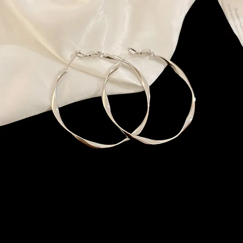 Minimalist Silver Needle Round Hoop Earrings Simple Fashion Commuter Personality Versatile Earrings Light Luxury High-End Earrings — feature 41