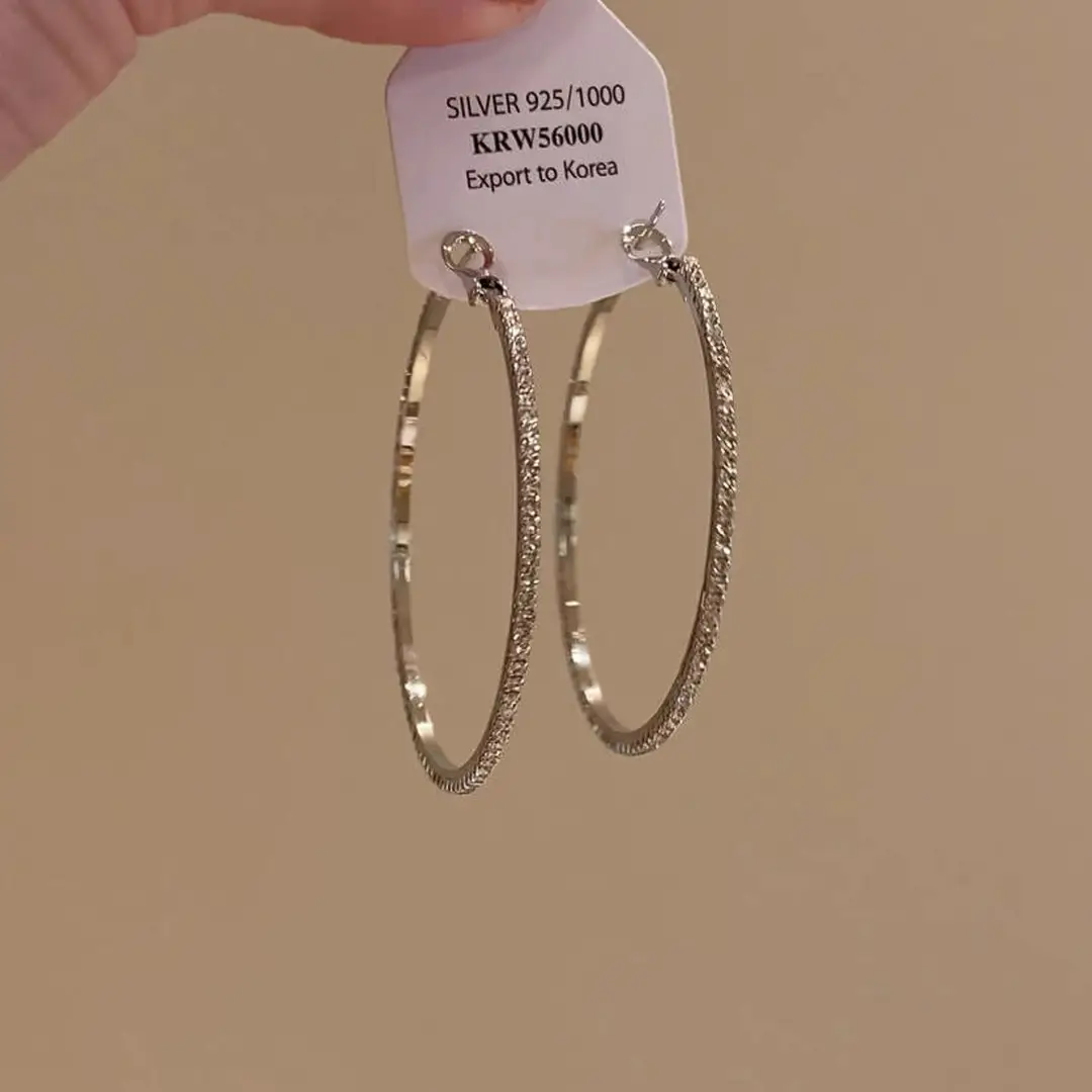 Minimalist Silver Needle Round Hoop Earrings Simple Fashion Commuter Personality Versatile Earrings Light Luxury High-End Earrings — feature 6