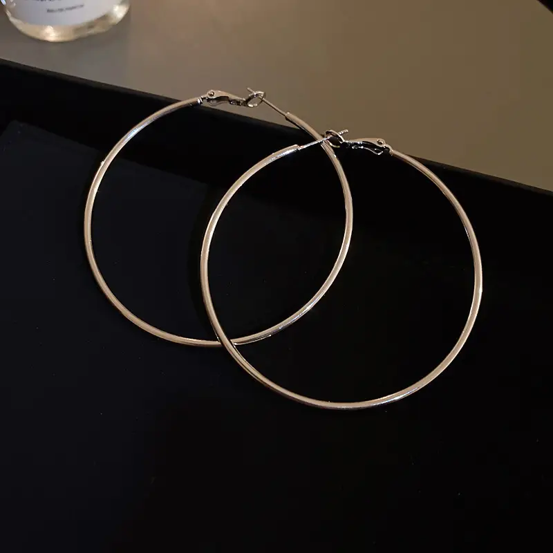 Minimalist Silver Needle Round Hoop Earrings Simple Fashion Commuter Personality Versatile Earrings Light Luxury High-End Earrings