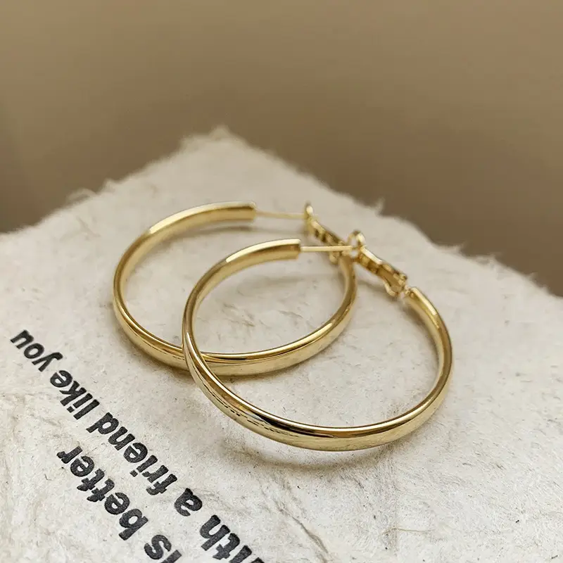 Minimalist Silver Needle Round Hoop Earrings Simple Fashion Commuter Personality Versatile Earrings Light Luxury High-End Earrings