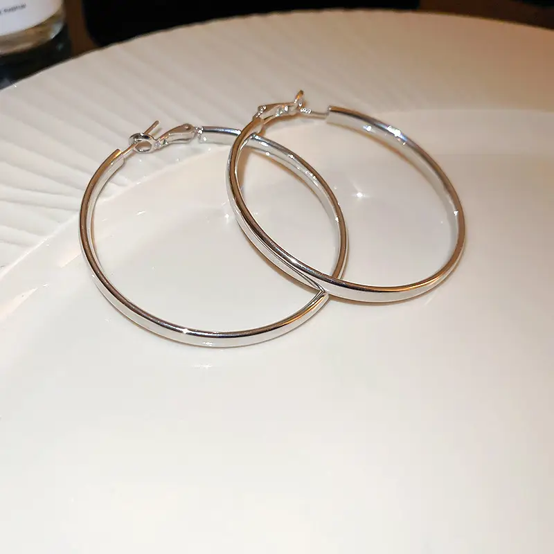 Minimalist Silver Needle Round Hoop Earrings Simple Fashion Commuter Personality Versatile Earrings Light Luxury High-End Earrings