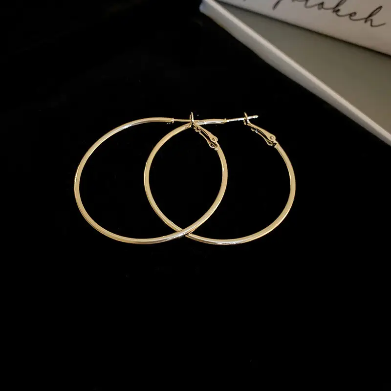 Minimalist Silver Needle Round Hoop Earrings Simple Fashion Commuter Personality Versatile Earrings Light Luxury High-End Earrings