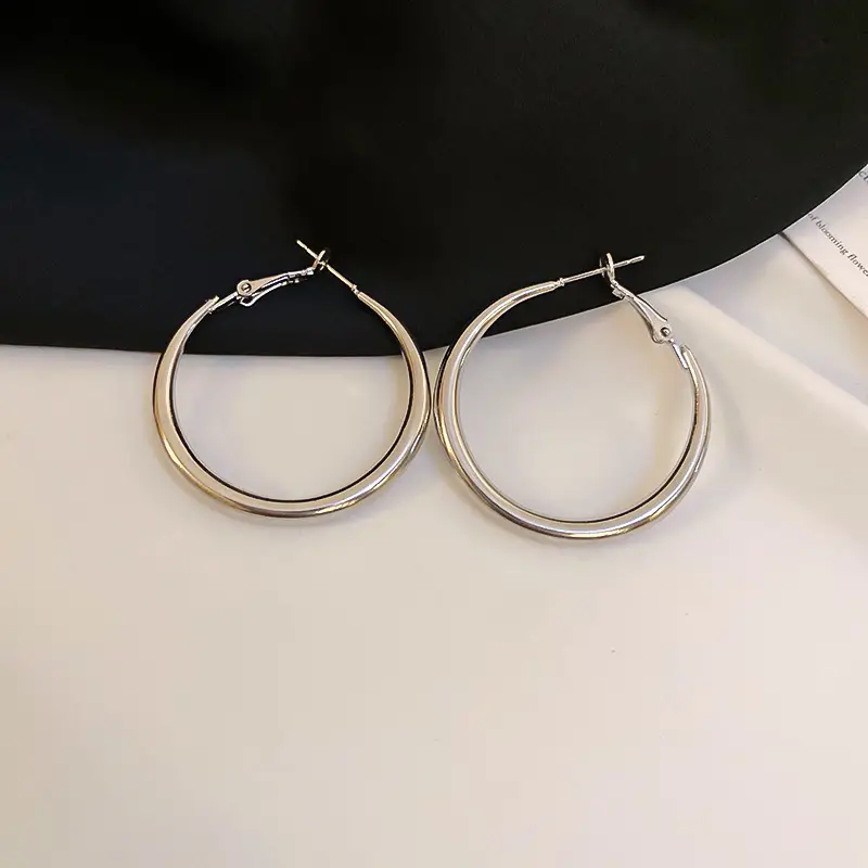 Minimalist Silver Needle Round Hoop Earrings Simple Fashion Commuter Personality Versatile Earrings Light Luxury High-End Earrings
