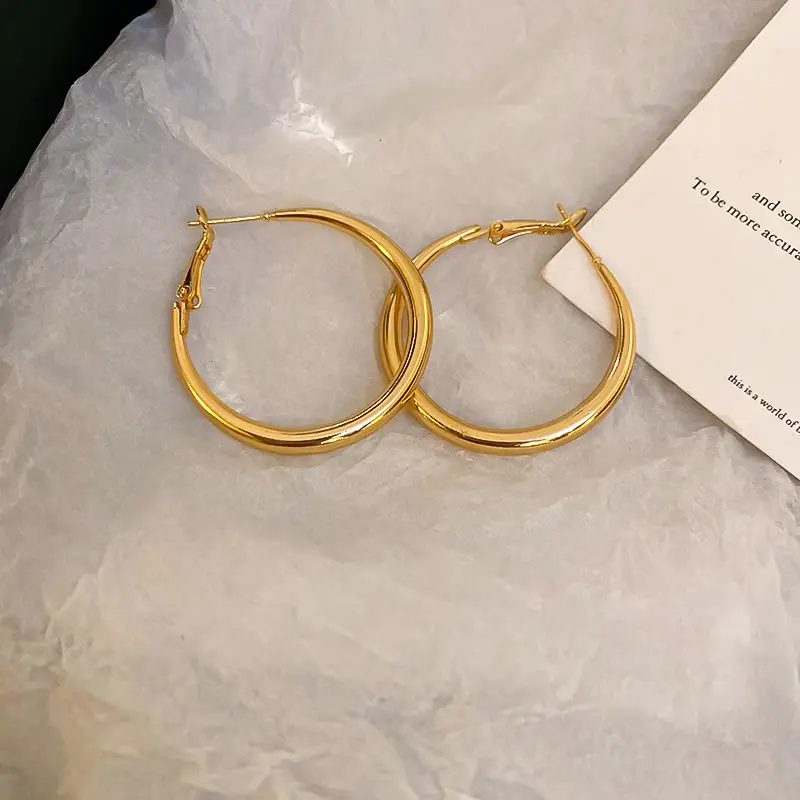 Minimalist Silver Needle Round Hoop Earrings Simple Fashion Commuter Personality Versatile Earrings Light Luxury High-End Earrings