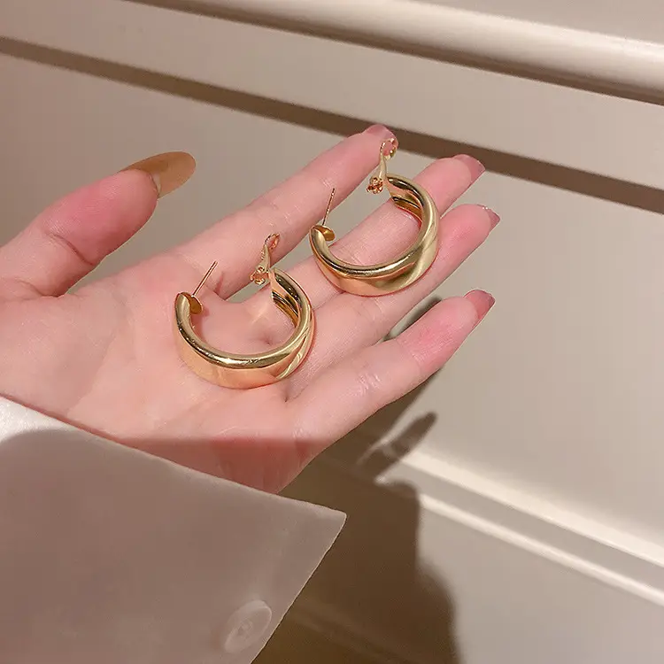Minimalist Silver Needle Round Hoop Earrings Simple Fashion Commuter Personality Versatile Earrings Light Luxury High-End Earrings