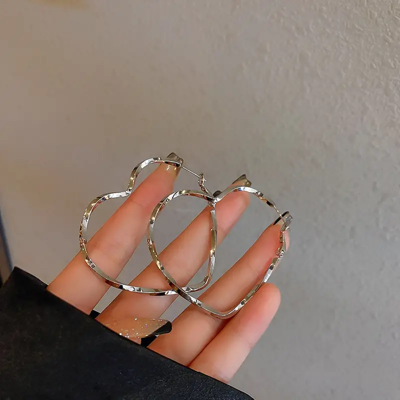 Minimalist Silver Needle Round Hoop Earrings Simple Fashion Commuter Personality Versatile Earrings Light Luxury High-End Earrings